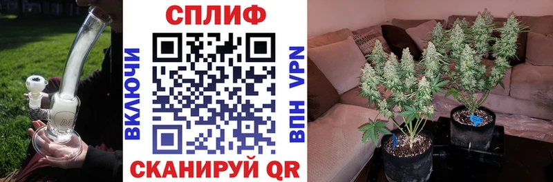 Бошки Шишки AK-47  Завитинск 
